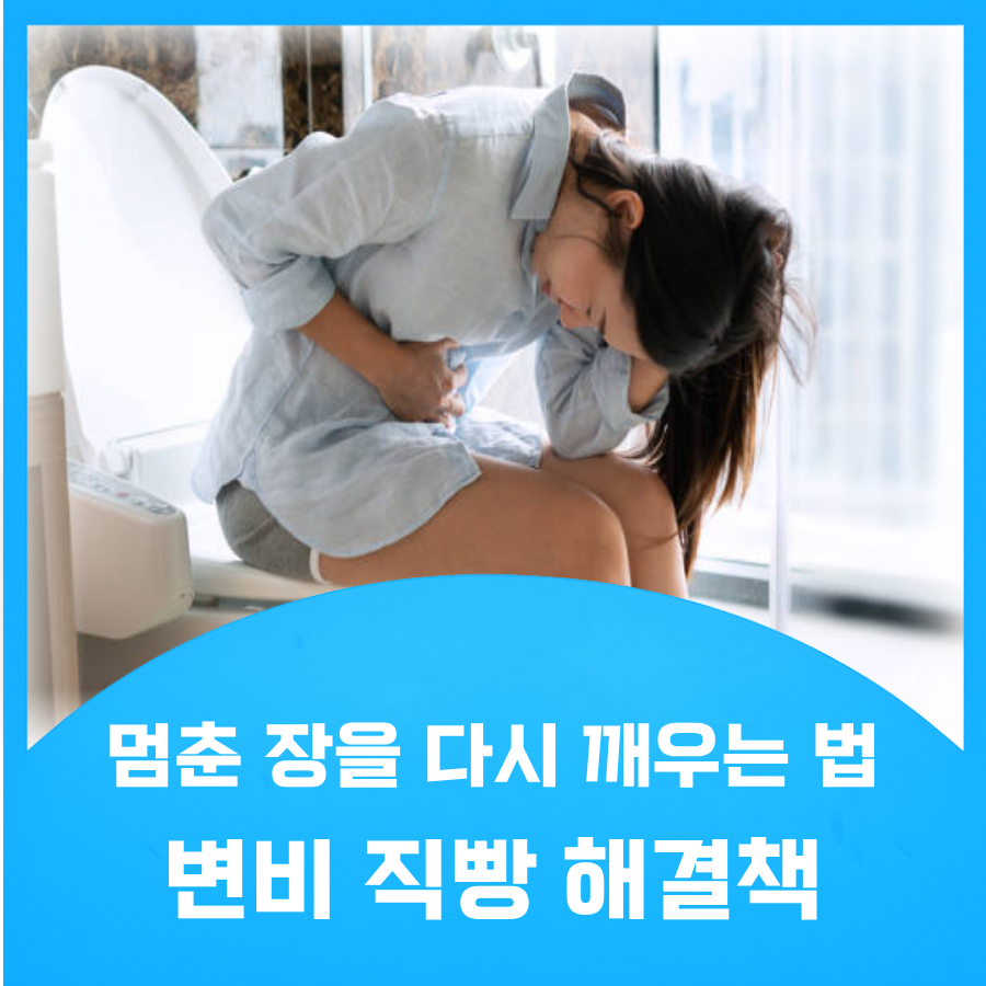 변비 직빵