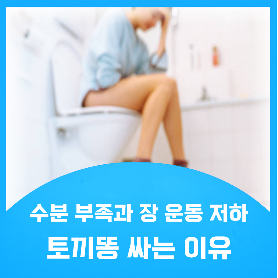 토끼똥