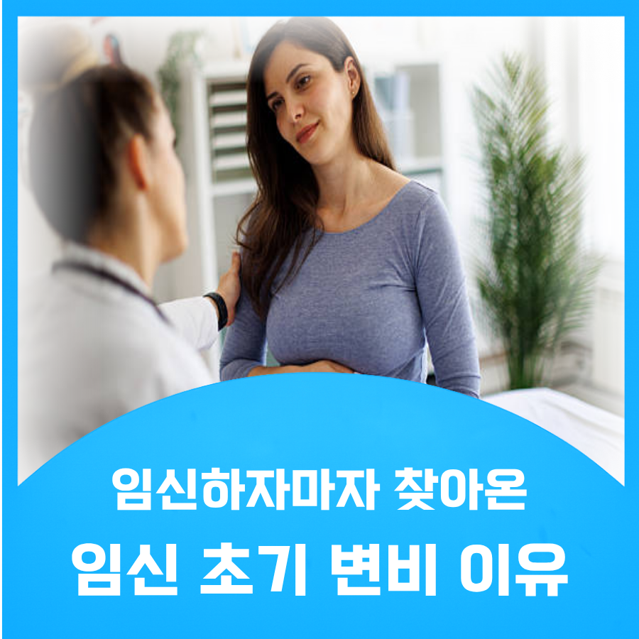 임신 초기 변비