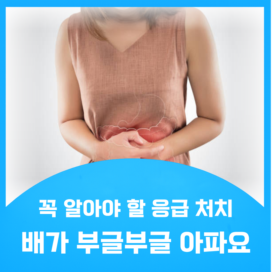 배가 부글부글 아파요