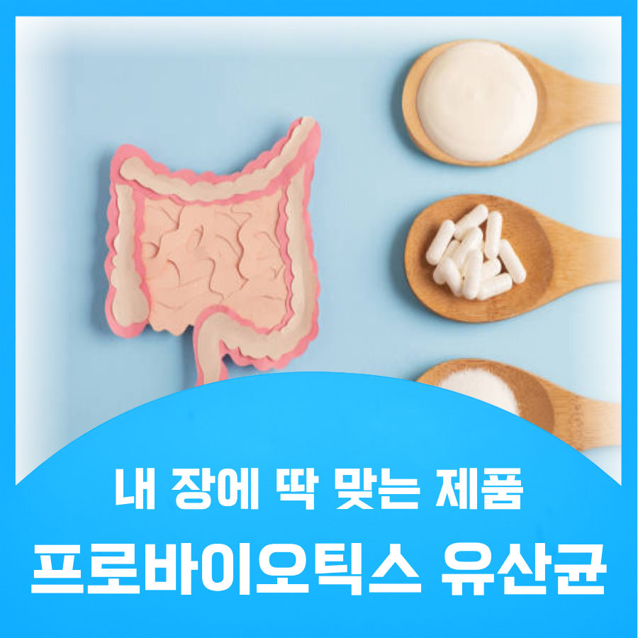 프로바이오틱스 유산균