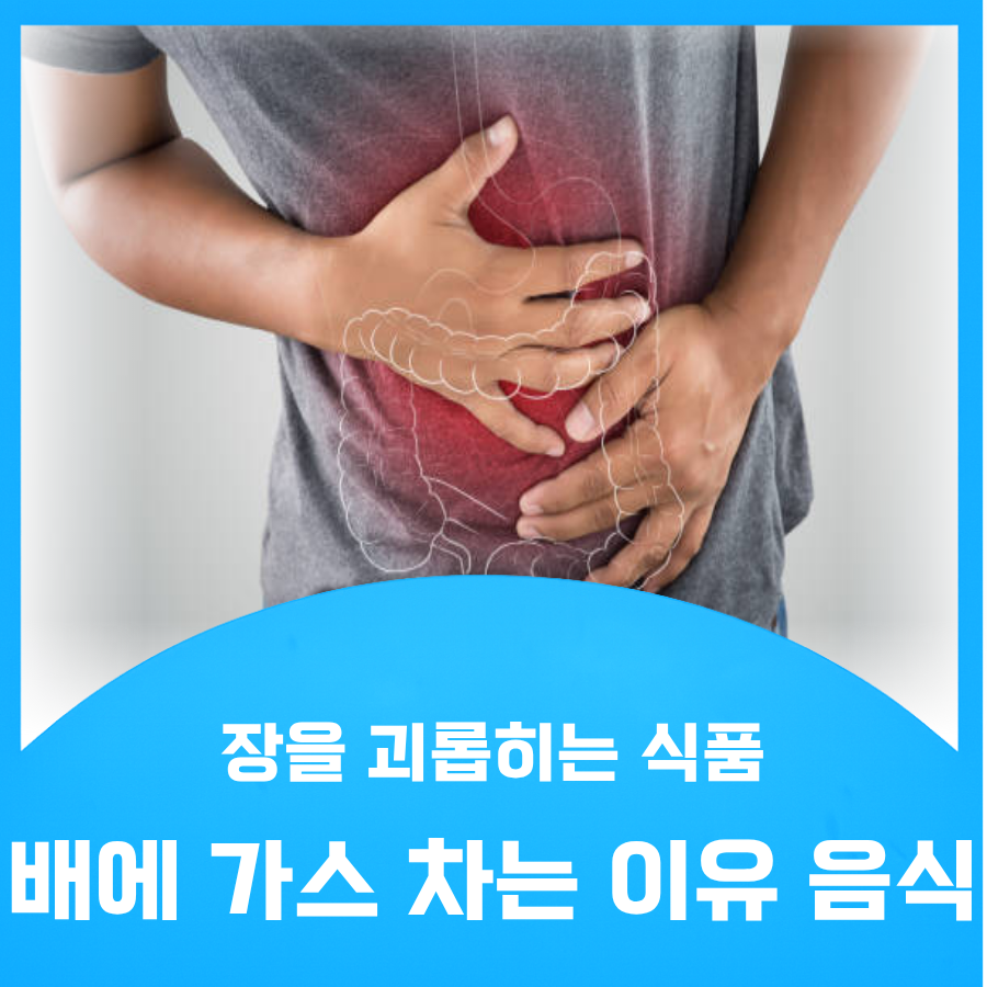배에 가스