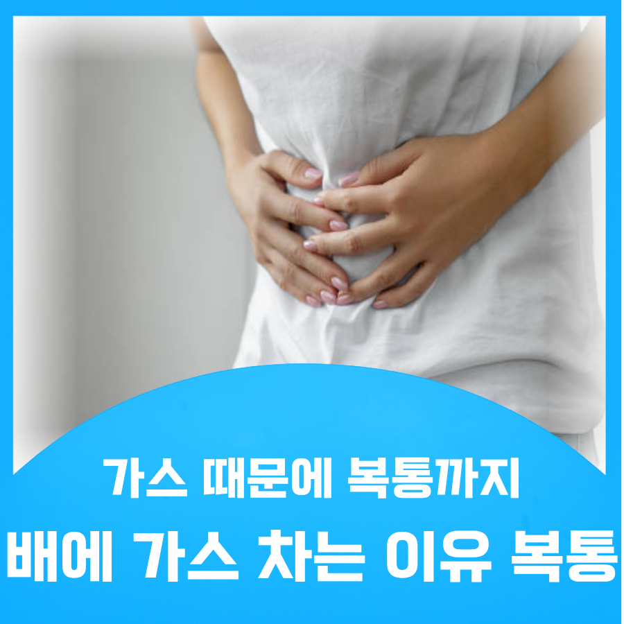 배에 가스 차는 이유
