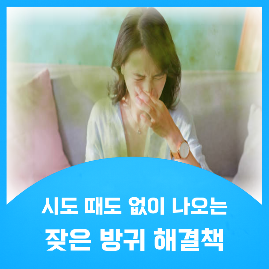 잦은 방귀