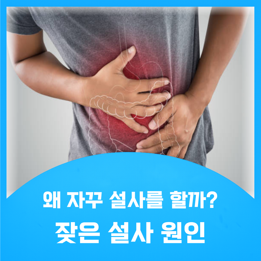 잦은 설사 원인