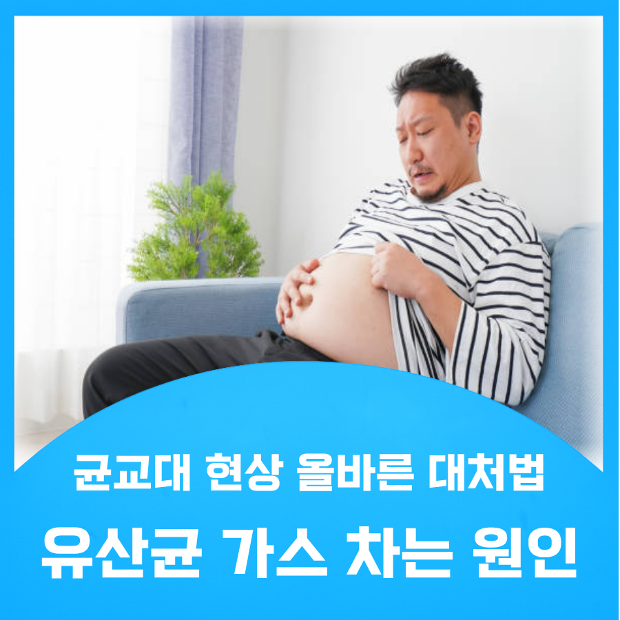 유산균 가스