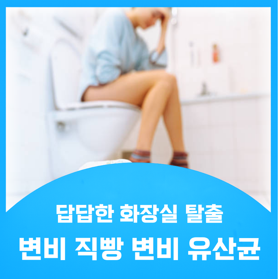 변비 유산균