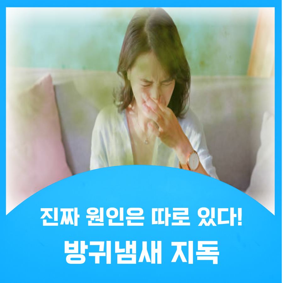 방귀냄새 지독