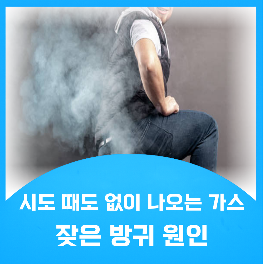 잦은 방귀