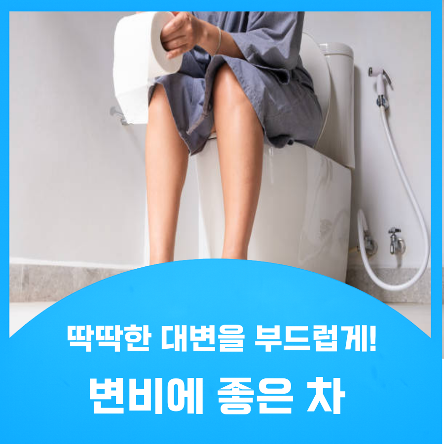 변비있는사람