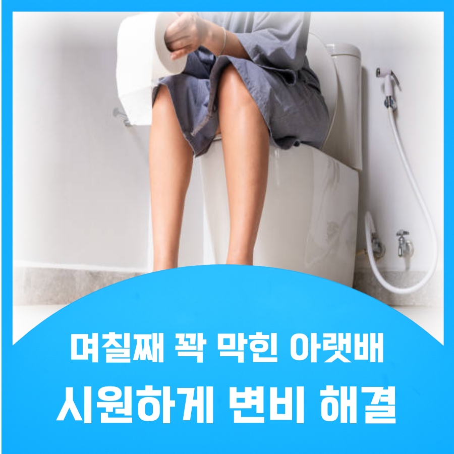 변비