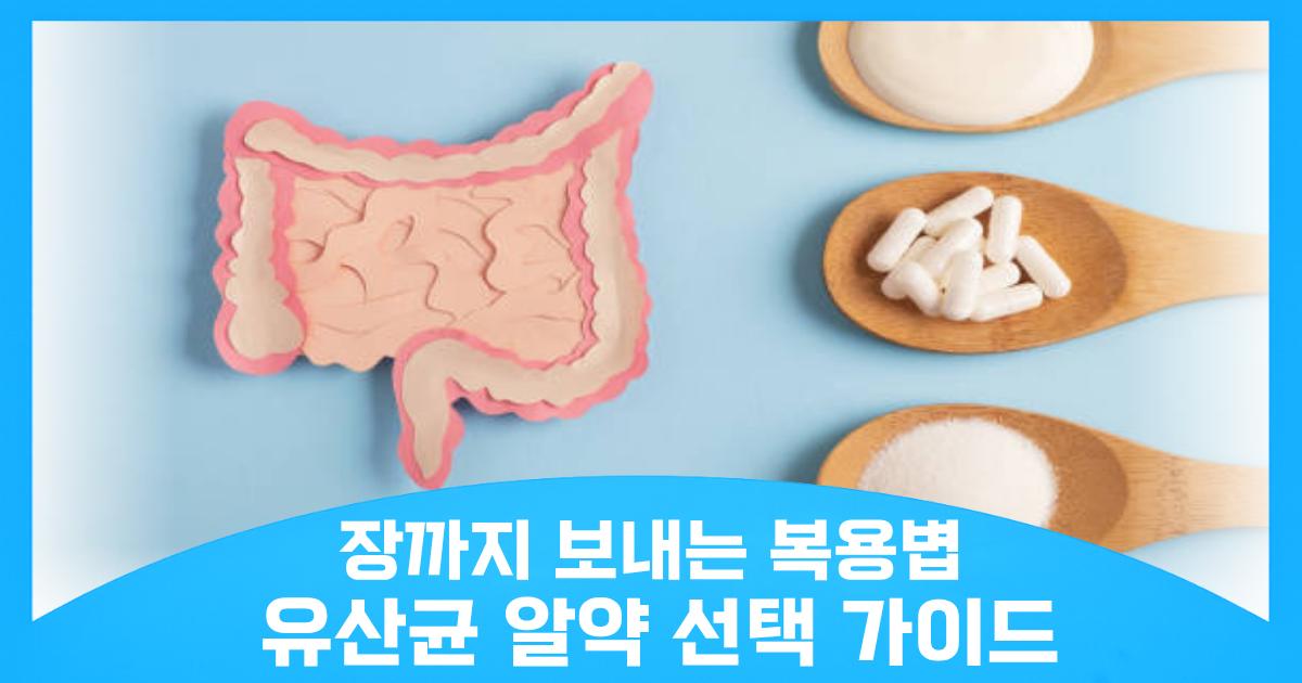 유산균 알약 효과적인 복용 시간 및 가루 제품과의 차이